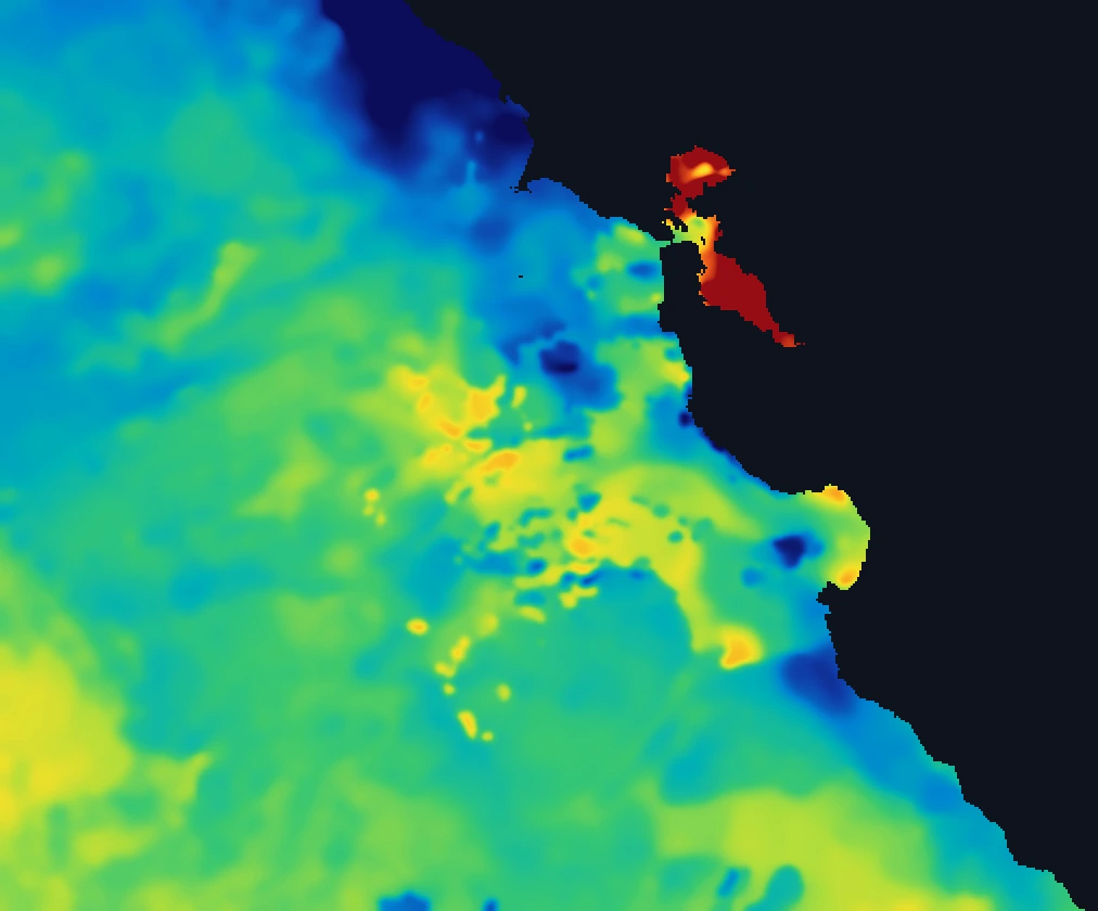 ReelTemps recency-weighted composite — a complete, clean sea-surface temperature field